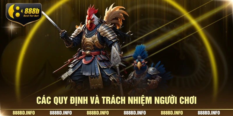 Các quy định và trách nhiệm người chơi