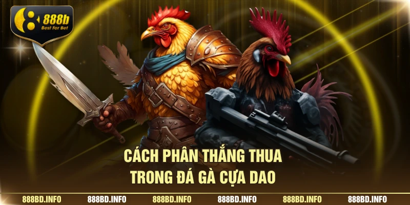Cách phân thắng thua trong đá gà cựa dao