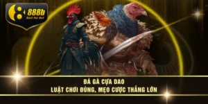 Đá Gà Cựa Dao – Luật Chơi Đúng, Mẹo Cược Thắng Lớn
