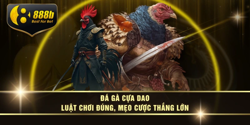 Đá Gà Cựa Dao – Luật Chơi Đúng, Mẹo Cược Thắng Lớn