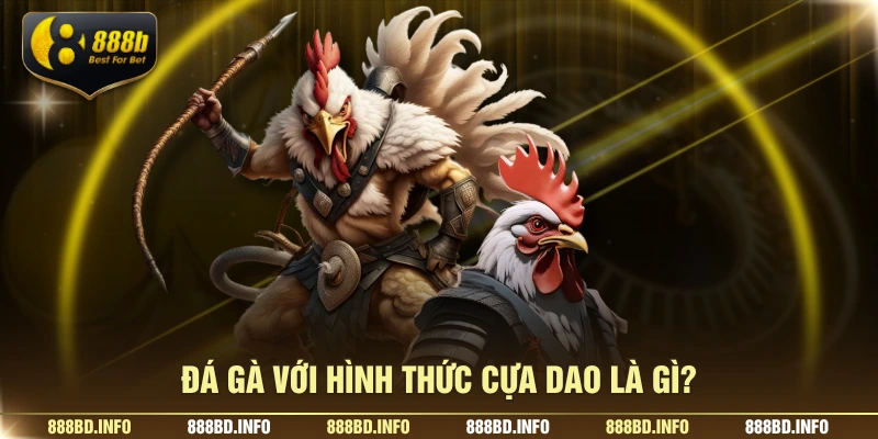Đá gà với hình thức cựa dao là gì?