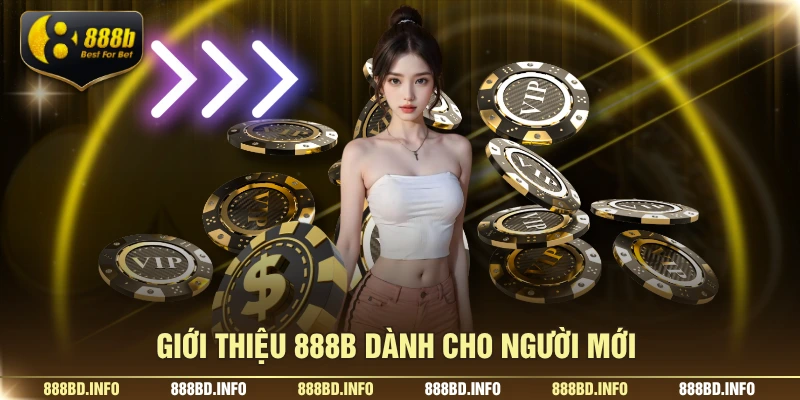 Giới thiệu 888B dành cho người mới 