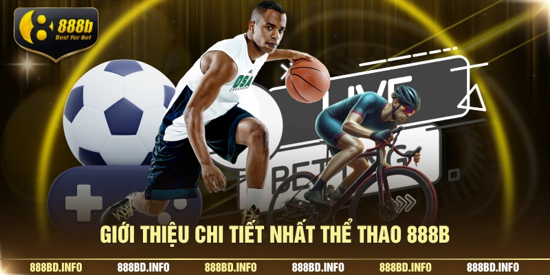 Giới thiệu chi tiết nhất thể thao 888B