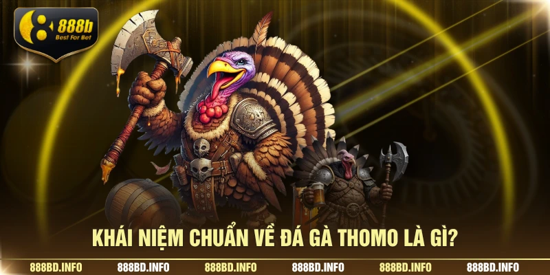 Khái niệm chuẩn về đá gà thomo là gì?